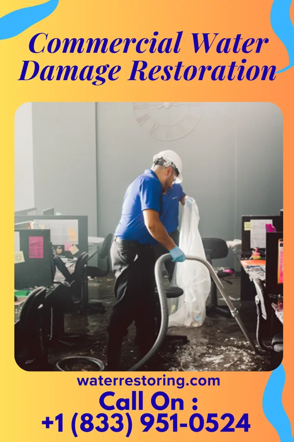 Commercial Water Damage Restoration in Tonica, IL