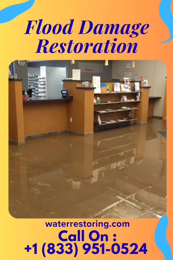 Flood Damage Restoration in Tonica, IL
